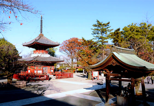 川越大師 喜多院